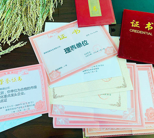  盤(pán)錦綠傲米業(yè)有限公司簡(jiǎn)介！